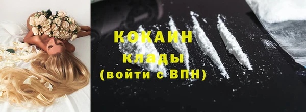 гашик Абинск