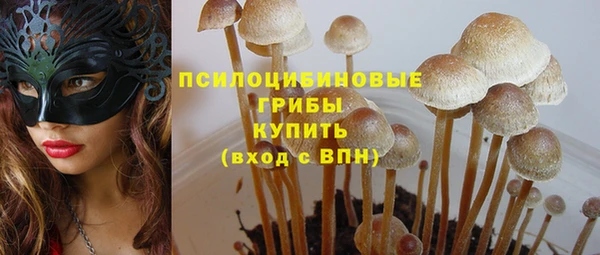 гашик Абаза