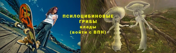 гидропоника Осинники