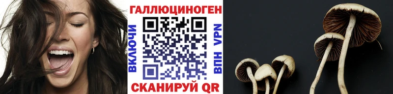 Галлюциногенные грибы прущие грибы  купить   Каменка 